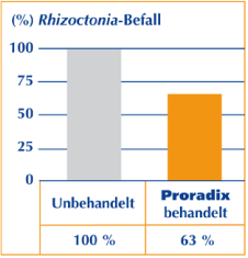 Diagramm: Rhyzoctonia-Befall bei Proradix behandelten Kartoffeln um 37% reduziert